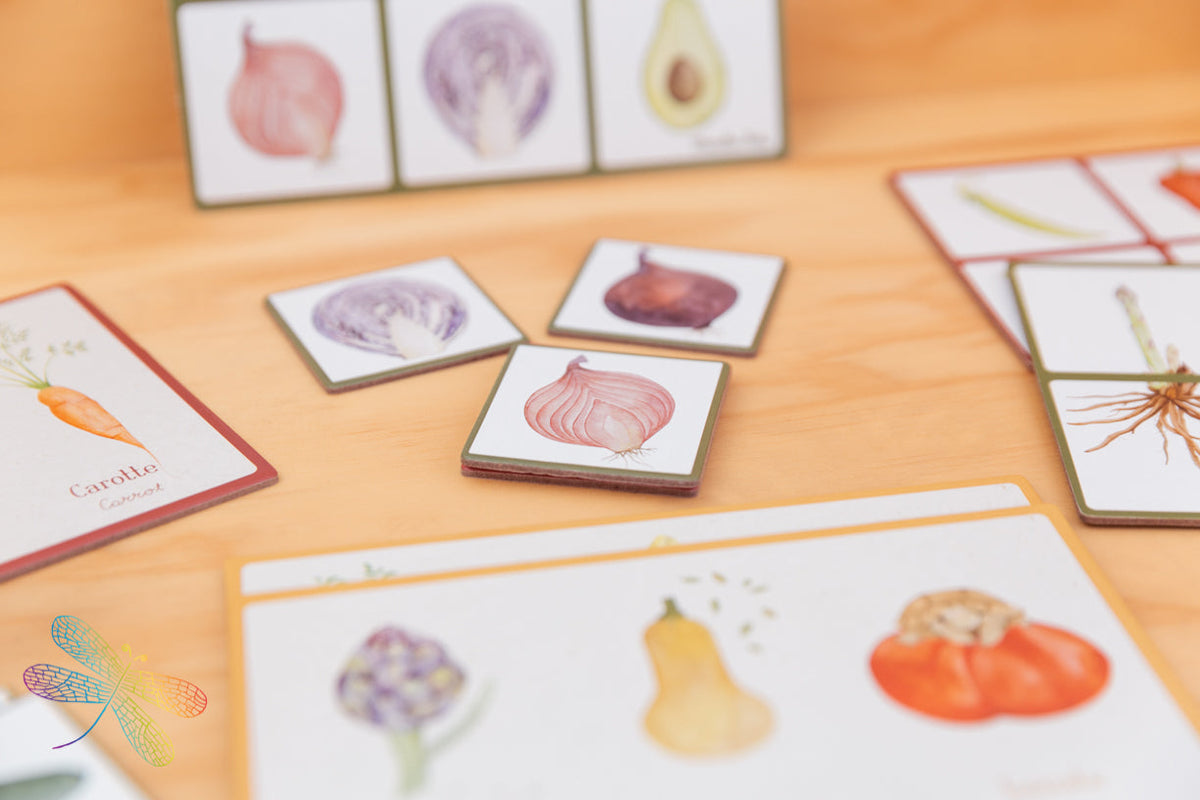 Vegetable Lotto And Memory Game By Moulin Roty