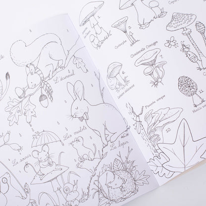 Moulin Roty The Botanist | Colouring And Sticker Book